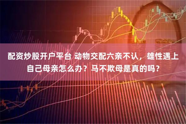 配资炒股开户平台 动物交配六亲不认，雄性遇上自己母亲怎么办？马不欺母是真的吗？