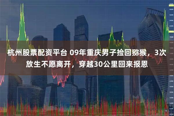 杭州股票配资平台 09年重庆男子捡回猕猴，3次放生不愿离开，穿越30公里回来报恩