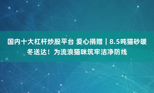 国内十大杠杆炒股平台 爱心捐赠｜8.5吨猫砂暖冬送达！为流浪猫咪筑牢洁净防线