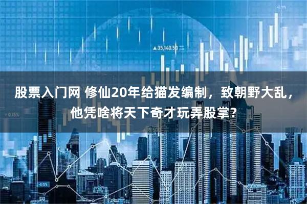 股票入门网 修仙20年给猫发编制，致朝野大乱，他凭啥将天下奇才玩弄股掌？