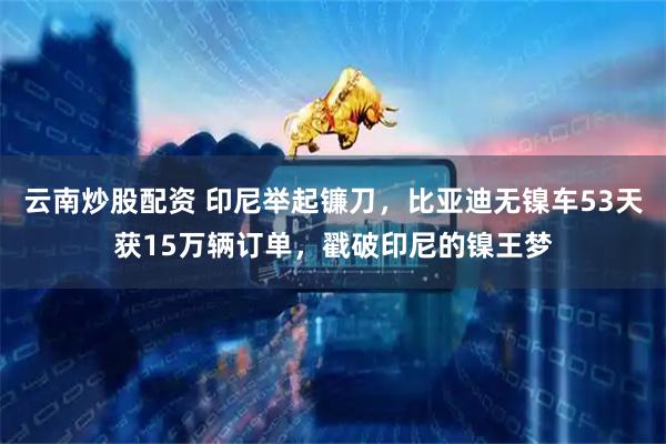 云南炒股配资 印尼举起镰刀，比亚迪无镍车53天获15万辆订单，戳破印尼的镍王梦