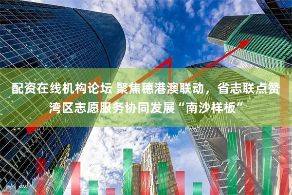 配资在线机构论坛 聚焦穗港澳联动，省志联点赞湾区志愿服务协同发展“南沙样板”